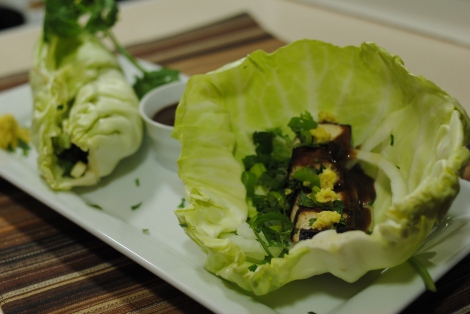 Low-Amine Teriyaki Tofu Cabbage Wraps (low-amine, gluten-free, dairy-free, nut-free, tomato-free, vegetarian, vegan) photo