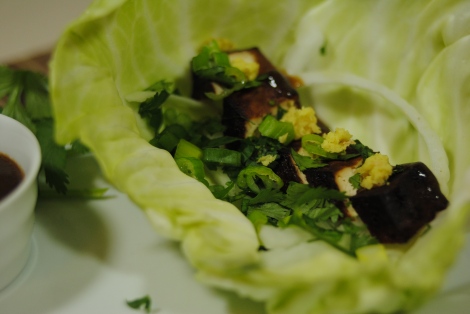 Low-Amine Teriyaki Tofu Cabbage Wraps (photo)