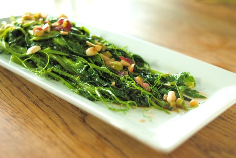 Pea Shoots sauteed in Garlic, Ginger, and Onion (low-amine, gluten-free, soy-free, dairy-free, tomato-free, nut-free, paleo, vegan, vegetarian) photo.