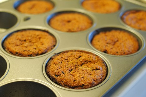 Low-Amine Carob Muffin/Cupcake/Brownies, hot out of the oven (gluten-free, dairy-free, egg-free, chocolate-free) photo